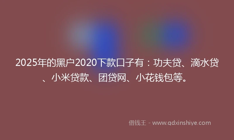 2025年的黑户2020下款口子有：功夫贷、滴水贷、小米贷款、团贷网、小花钱包等。