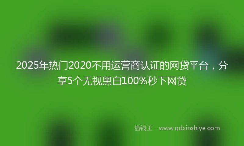 2025年热门2020不用运营商认证的网贷平台，分享5个无视黑白100%秒下网贷