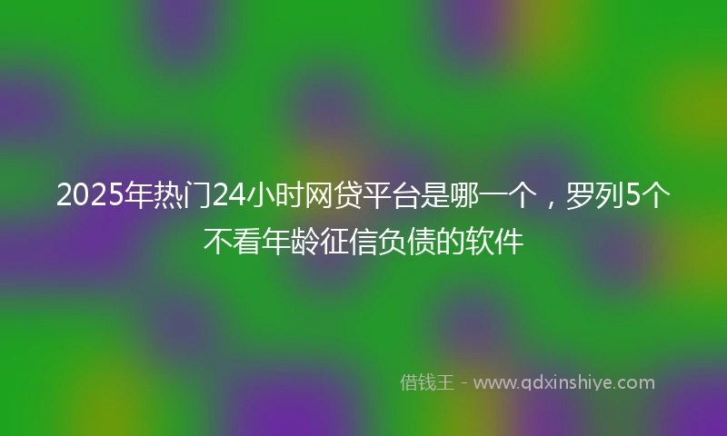 2025年热门24小时网贷平台是哪一个，罗列5个不看年龄征信负债的软件