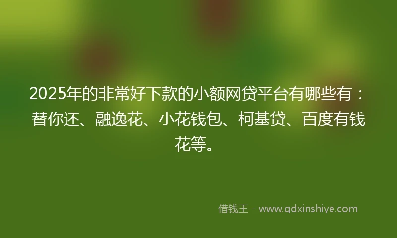 2025年的非常好下款的小额网贷平台有哪些有：替你还、融逸花、小花钱包、柯基贷、百度有钱花等。