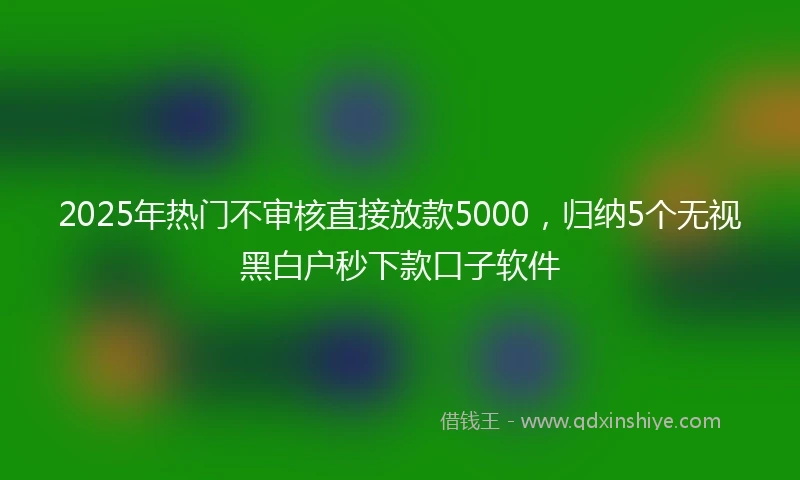 2025年热门不审核直接放款5000，归纳5个无视黑白户秒下款口子软件