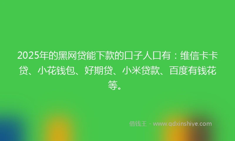 2025年的黑网贷能下款的口子人口有：维信卡卡贷、小花钱包、好期贷、小米贷款、百度有钱花等。