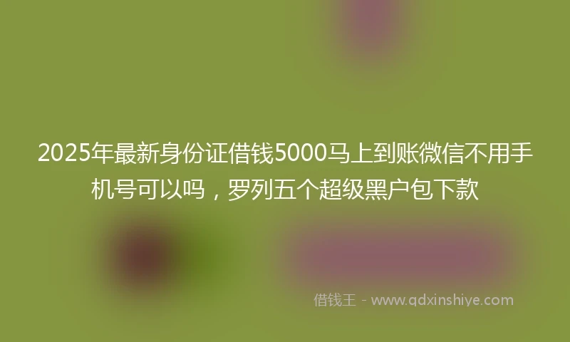 2025年最新身份证借钱5000马上到账微信不用手机号可以吗，罗列五个超级黑户包下款