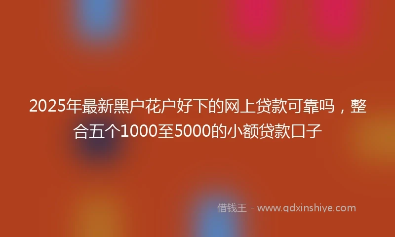 2025年最新黑户花户好下的网上贷款可靠吗，整合五个1000至5000的小额贷款口子