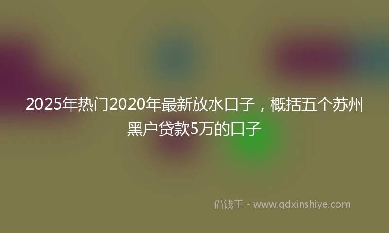 2025年热门2020年最新放水口子，概括五个苏州黑户贷款5万的口子