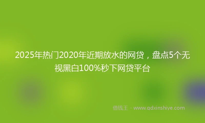 2025年热门2020年近期放水的网贷，盘点5个无视黑白100%秒下网贷平台