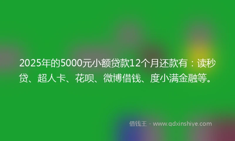 2025年的5000元小额贷款12个月还款有：读秒贷、超人卡、花呗、微博借钱、度小满金融等。