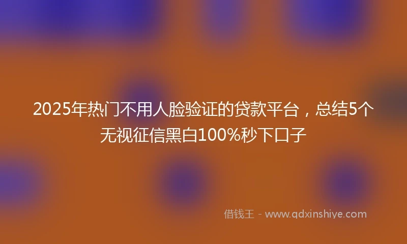 2025年热门不用人脸验证的贷款平台，总结5个无视征信黑白100%秒下口子
