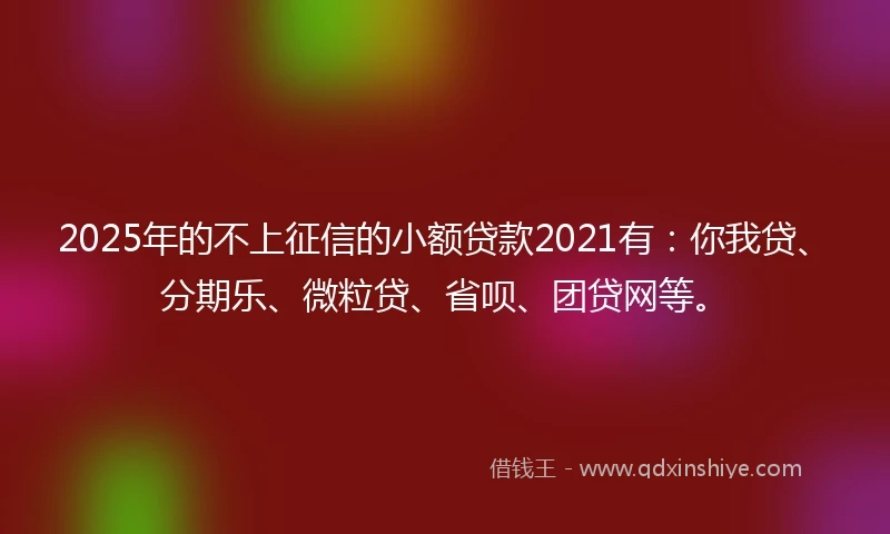 2025年的不上征信的小额贷款2021有：你我贷、分期乐、微粒贷、省呗、团贷网等。