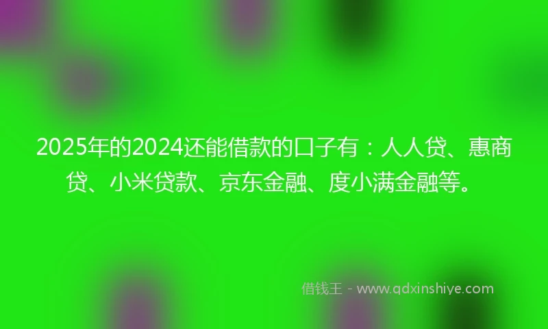 2025年的2024还能借款的口子有：人人贷、惠商贷、小米贷款、京东金融、度小满金融等。