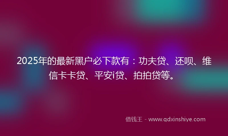 2025年的最新黑户必下款有：功夫贷、还呗、维信卡卡贷、平安i贷、拍拍贷等。