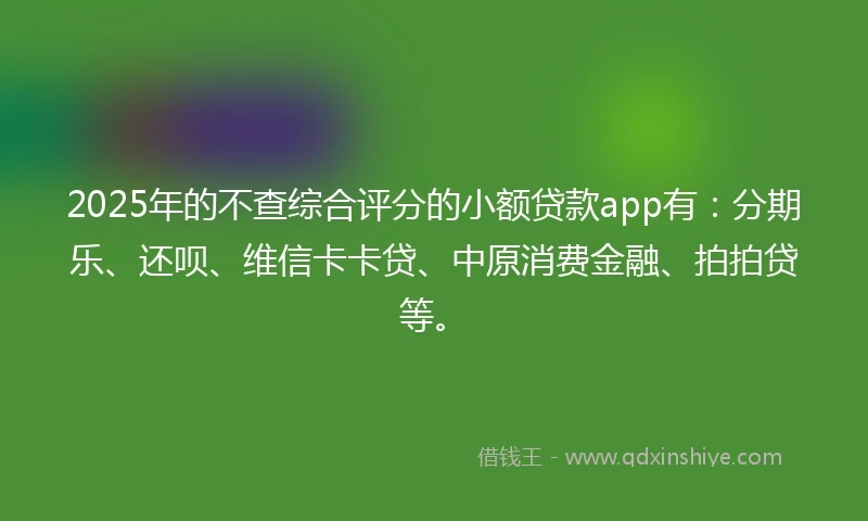2025年的不查综合评分的小额贷款app有：分期乐、还呗、维信卡卡贷、中原消费金融、拍拍贷等。