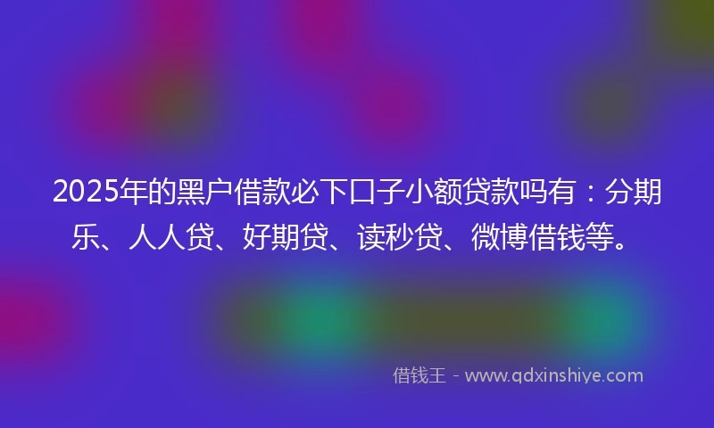 2025年的黑户借款必下口子小额贷款吗有：分期乐、人人贷、好期贷、读秒贷、微博借钱等。