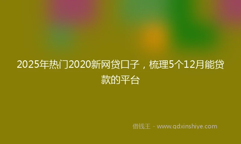2025年热门2020新网贷口子，梳理5个12月能贷款的平台