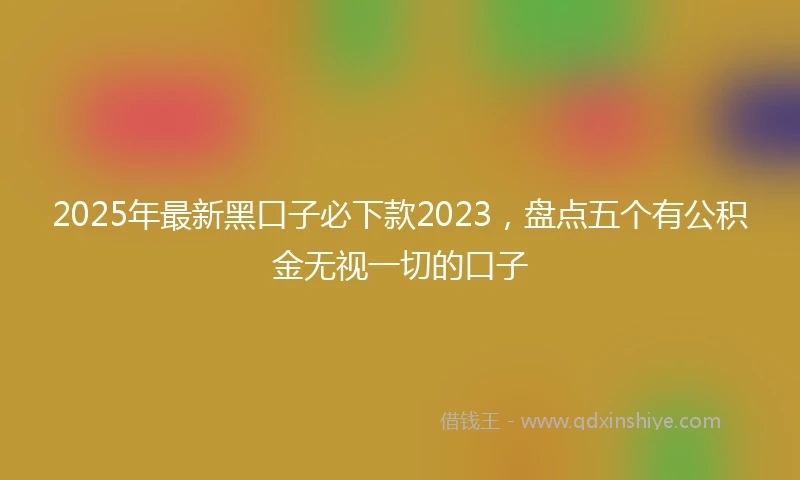 2025年最新黑口子必下款2023，盘点五个有公积金无视一切的口子
