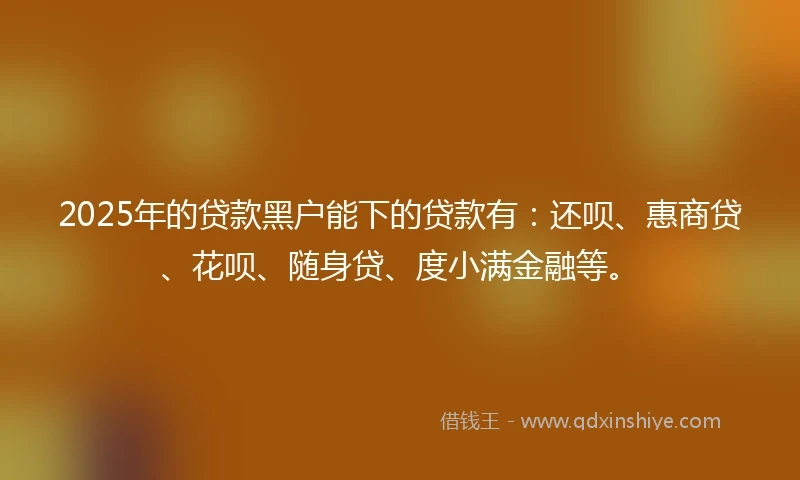 2025年的贷款黑户能下的贷款有：还呗、惠商贷、花呗、随身贷、度小满金融等。