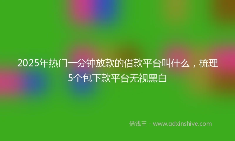 2025年热门一分钟放款的借款平台叫什么，梳理5个包下款平台无视黑白