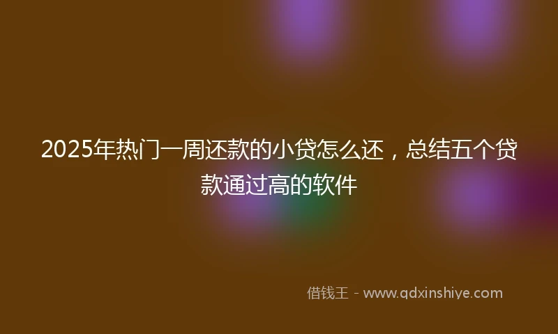 2025年热门一周还款的小贷怎么还，总结五个贷款通过高的软件