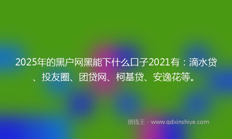 2025年的黑户网黑能下什么口子2021有：滴水贷、投友圈、团贷网、柯基贷、安逸花等。