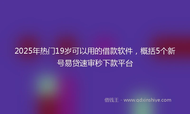 2025年热门19岁可以用的借款软件，概括5个新号易贷速审秒下款平台