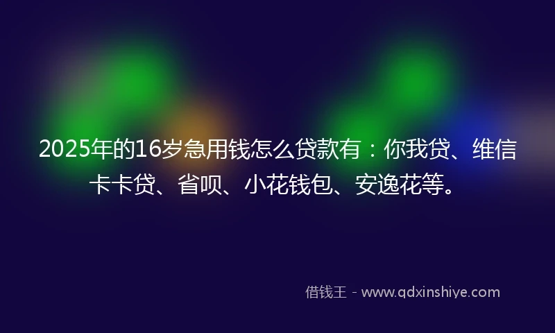 2025年的16岁急用钱怎么贷款有：你我贷、维信卡卡贷、省呗、小花钱包、安逸花等。