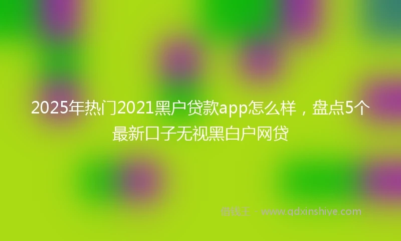 2025年热门2021黑户贷款app怎么样，盘点5个最新口子无视黑白户网贷