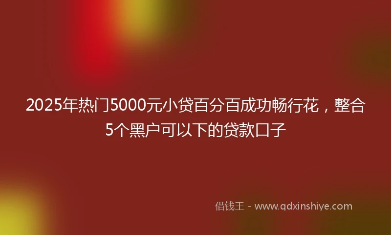 2025年热门5000元小贷百分百成功畅行花，整合5个黑户可以下的贷款口子