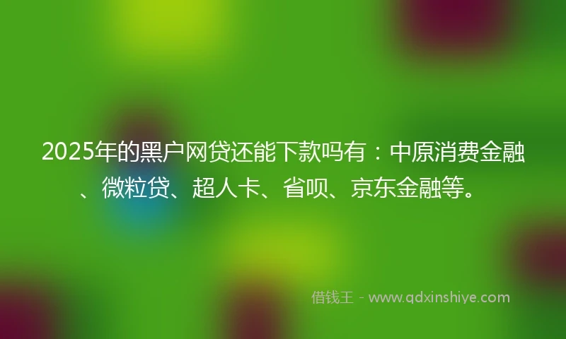 2025年的黑户网贷还能下款吗有：中原消费金融、微粒贷、超人卡、省呗、京东金融等。