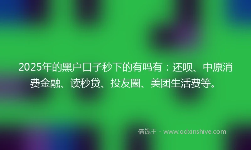2025年的黑户口子秒下的有吗有：还呗、中原消费金融、读秒贷、投友圈、美团生活费等。