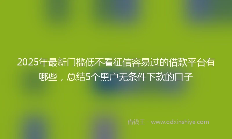 2025年最新门槛低不看征信容易过的借款平台有哪些，总结5个黑户无条件下款的口子