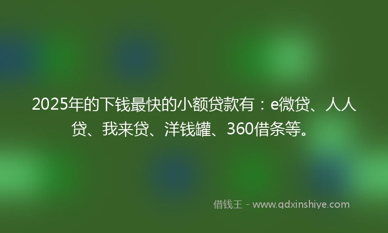 2025年的下钱最快的小额贷款有：e微贷、人人贷、我来贷、洋钱罐、360借条等。