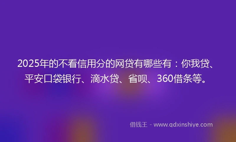 2025年的不看信用分的网贷有哪些有：你我贷、平安口袋银行、滴水贷、省呗、360借条等。