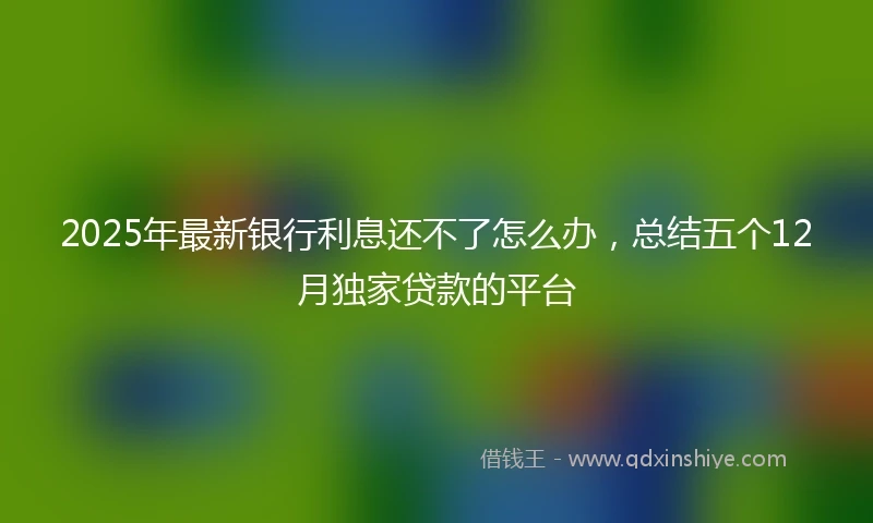 2025年最新银行利息还不了怎么办，总结五个12月独家贷款的平台