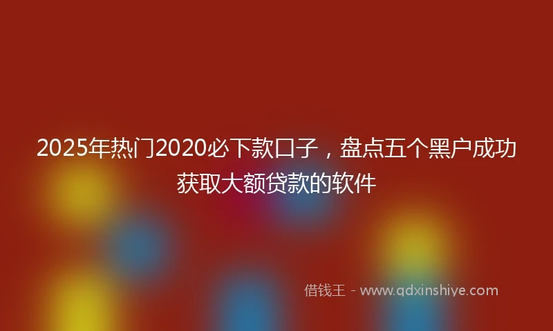 2025年热门2020必下款口子，盘点五个黑户成功获取大额贷款的软件