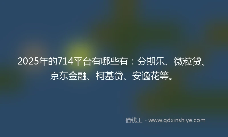 2025年的714平台有哪些有：分期乐、微粒贷、京东金融、柯基贷、安逸花等。