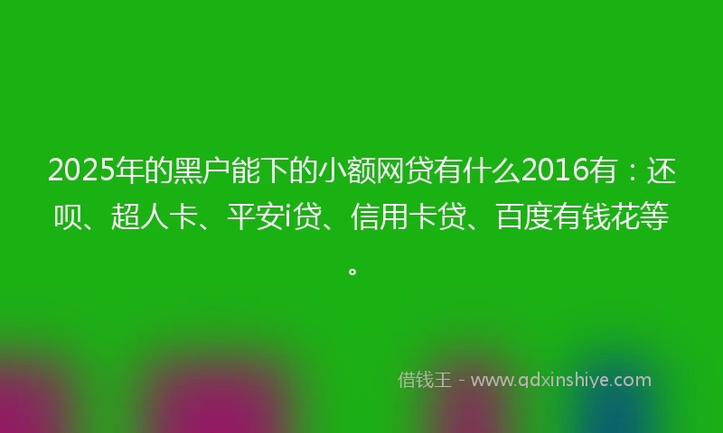 2025年的黑户能下的小额网贷有什么2016有：还呗、超人卡、平安i贷、信用卡贷、百度有钱花等。