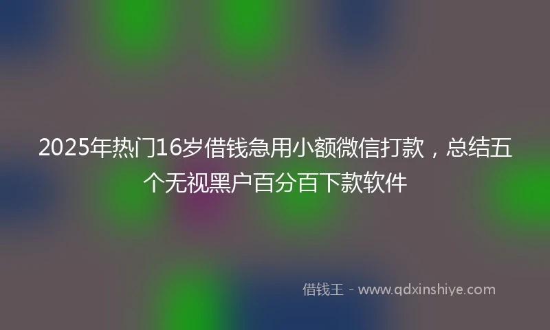 2025年热门16岁借钱急用小额微信打款，总结五个无视黑户百分百下款软件