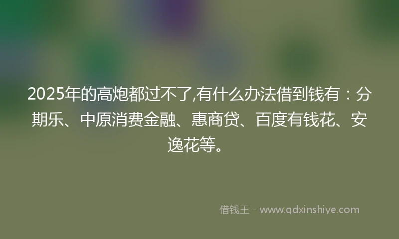 2025年的高炮都过不了,有什么办法借到钱有：分期乐、中原消费金融、惠商贷、百度有钱花、安逸花等。