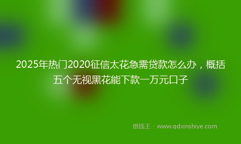 2025年热门2020征信太花急需贷款怎么办，概括五个无视黑花能下款一万元口子