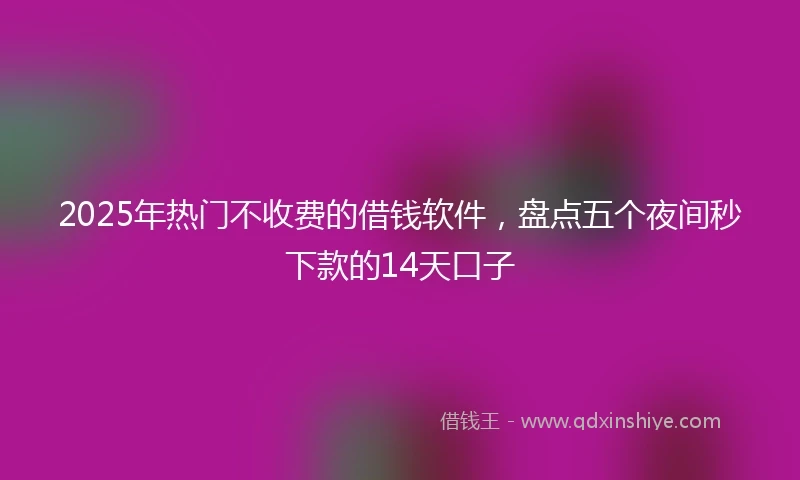 2025年热门不收费的借钱软件，盘点五个夜间秒下款的14天口子