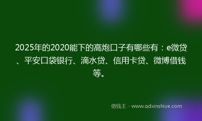 2025年的2020能下的高炮口子有哪些有：e微贷、平安口袋银行、滴水贷、信用卡贷、微博借钱等。