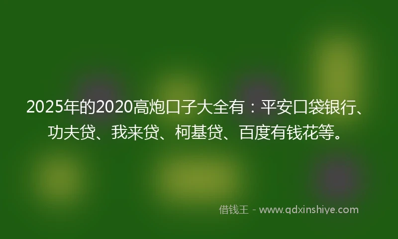 2025年的2020高炮口子大全有：平安口袋银行、功夫贷、我来贷、柯基贷、百度有钱花等。