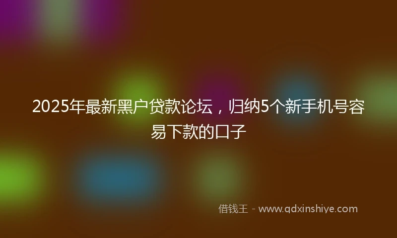 2025年最新黑户贷款论坛，归纳5个新手机号容易下款的口子