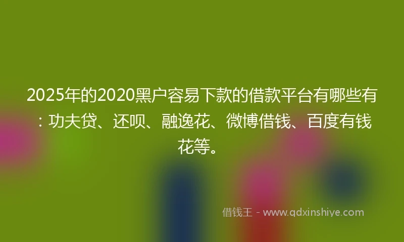 2025年的2020黑户容易下款的借款平台有哪些有：功夫贷、还呗、融逸花、微博借钱、百度有钱花等。