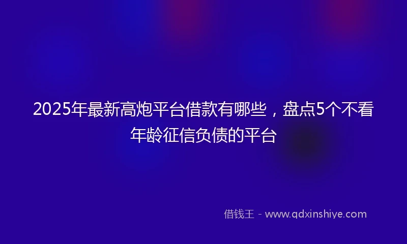 2025年最新高炮平台借款有哪些，盘点5个不看年龄征信负债的平台