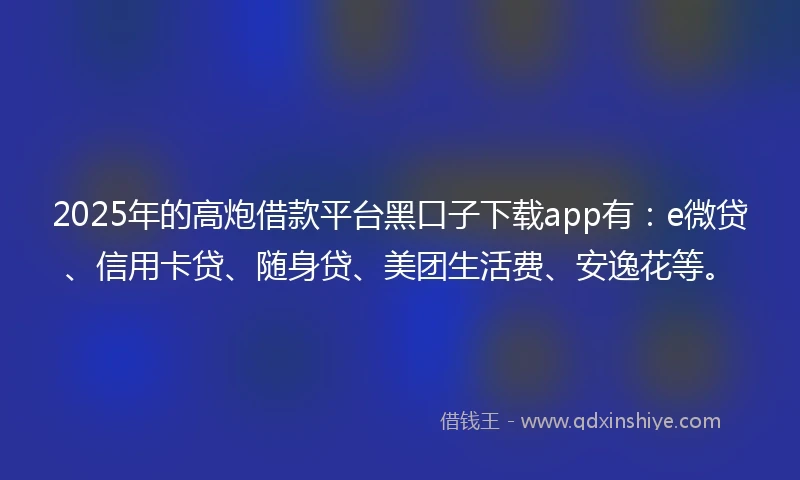 2025年的高炮借款平台黑口子下载app有：e微贷、信用卡贷、随身贷、美团生活费、安逸花等。