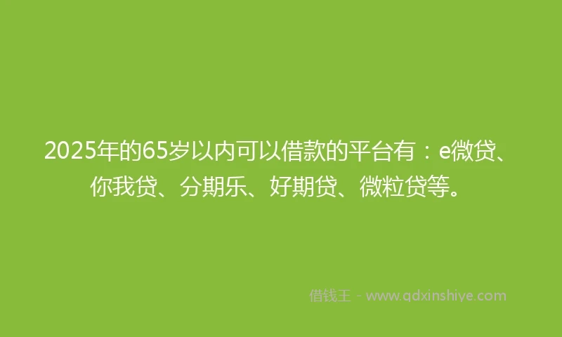 2025年的65岁以内可以借款的平台有：e微贷、你我贷、分期乐、好期贷、微粒贷等。
