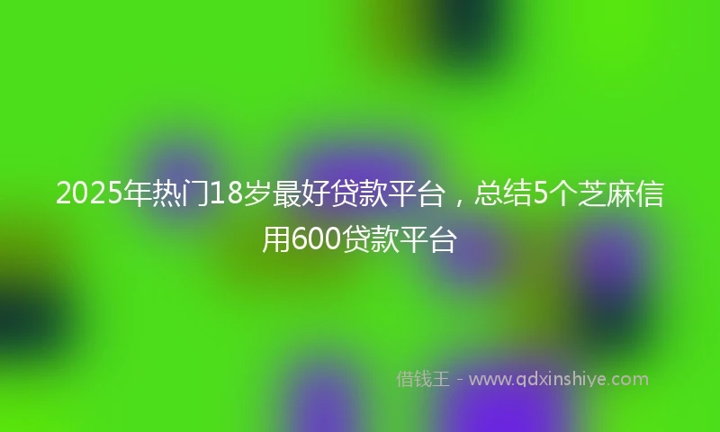 2025年热门18岁最好贷款平台，总结5个芝麻信用600贷款平台
