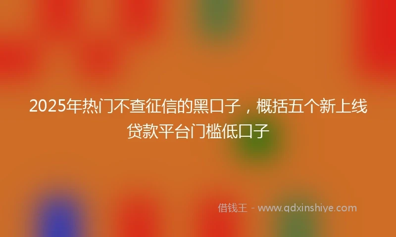 2025年热门不查征信的黑口子，概括五个新上线贷款平台门槛低口子