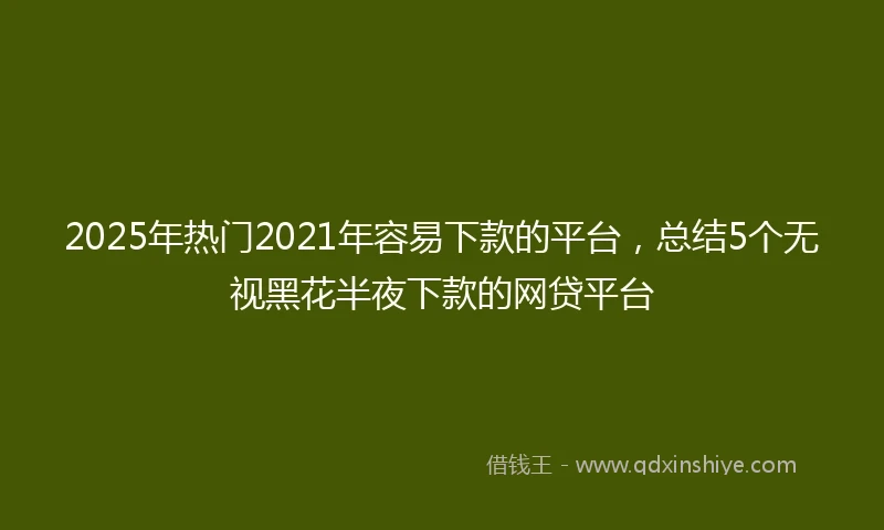 2025年热门2021年容易下款的平台，总结5个无视黑花半夜下款的网贷平台